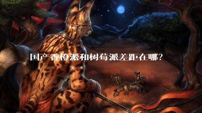 国产香橙派和树莓派差距在哪？